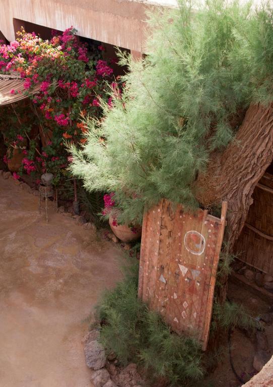 Auberge L'Oasis Foum Zguid Екстериор снимка